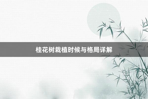 桂花树栽植时候与格局详解