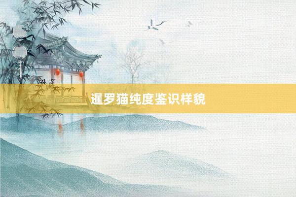 暹罗猫纯度鉴识样貌