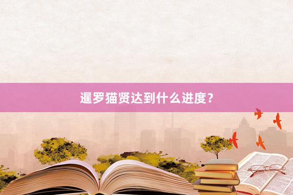暹罗猫贤达到什么进度?